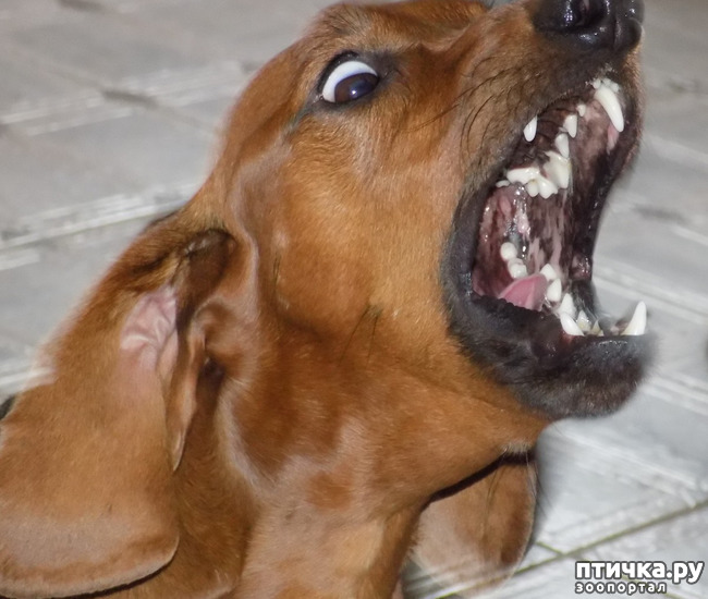 ���� 17: � ���, � ��...