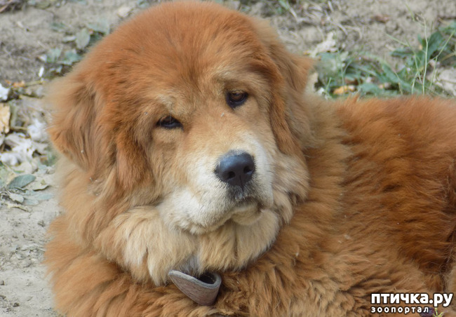 ���� 18: � ���, � ��...