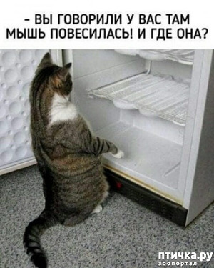 фотография: Риторический вопрос... фото: Риторический вопрос...