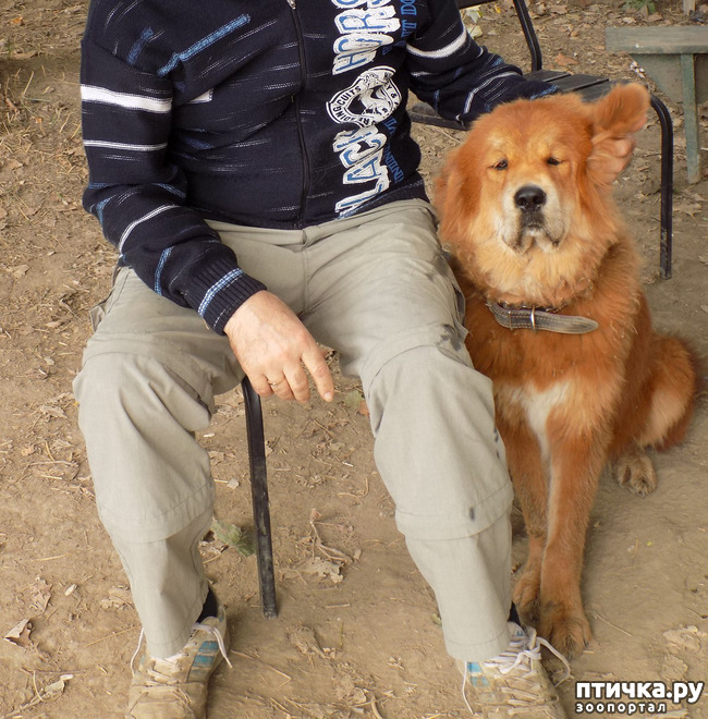 ���� 19: � ���, � ��...