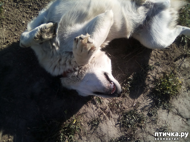 ���� 20: � ���, � ��...