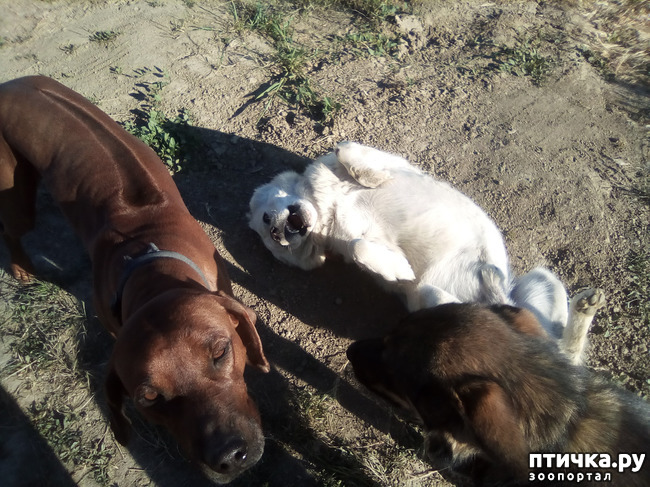 ���� 21: � ���, � ��...