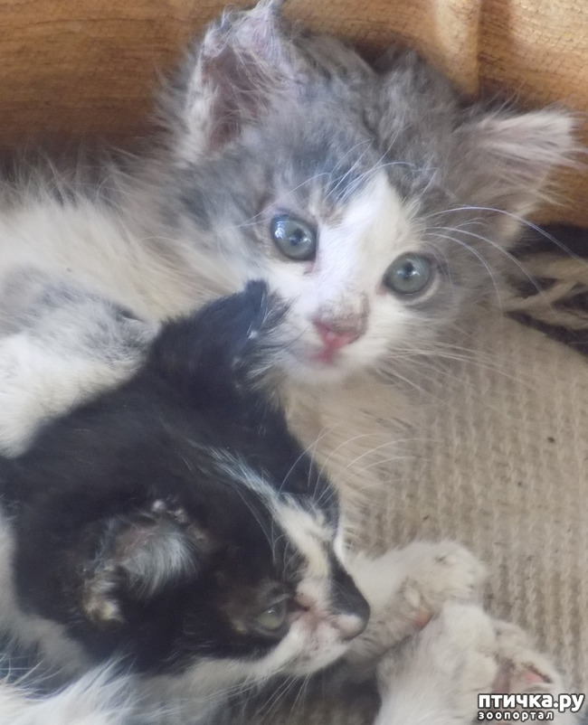 ���� 23: � ���, � ��...