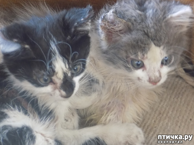 ���� 22: � ���, � ��...