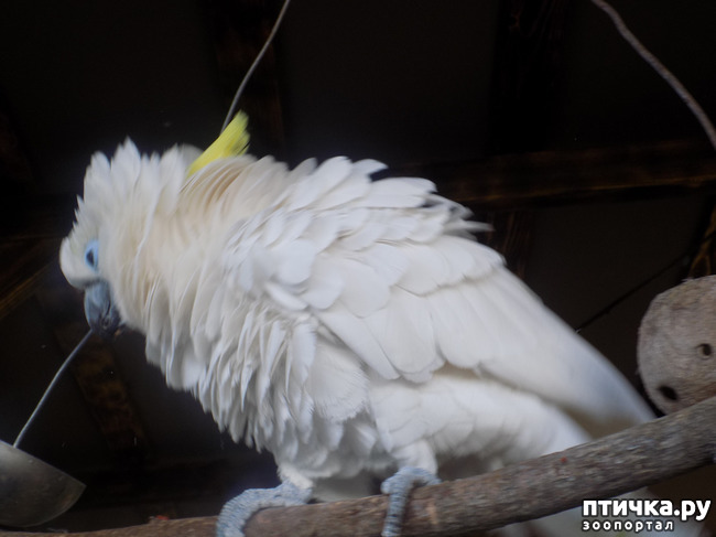 ���� 24: � ���, � ��...