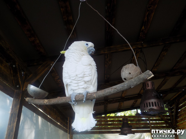 ���� 25: � ���, � ��...