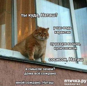 ����: ������, ������ ������