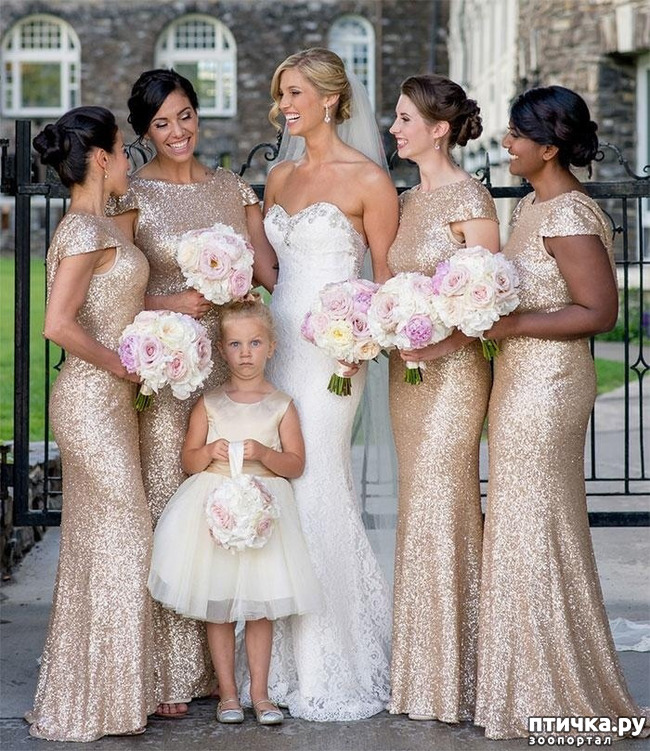 ���� 5: ���� �� ��������...