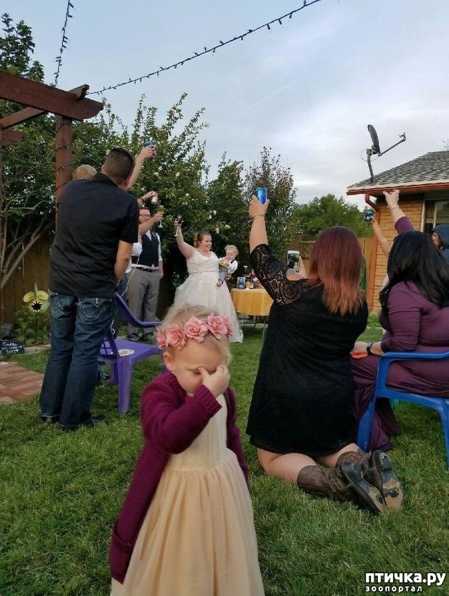 ���� 6: ���� �� ��������...