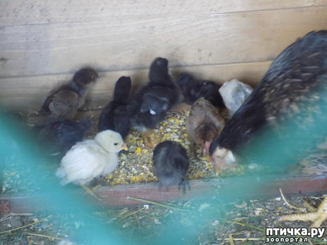 ���� 2: ����� ������������