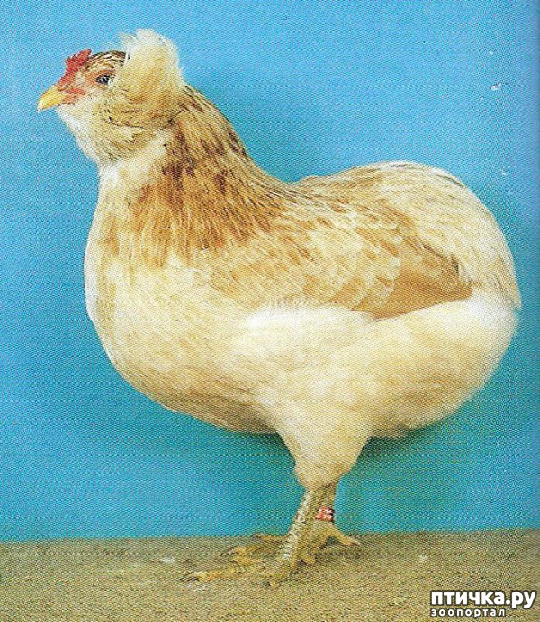 ���� 10: ����� ������������