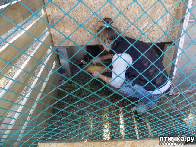 ���� 11: ����� ������������