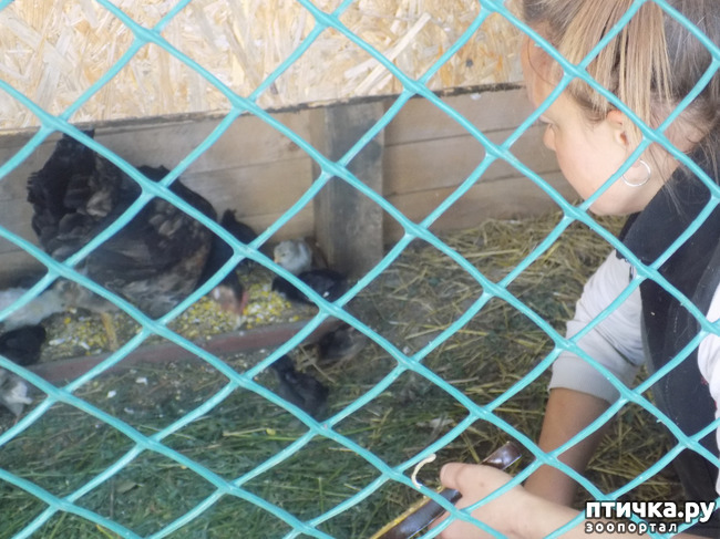 ���� 12: ����� ������������