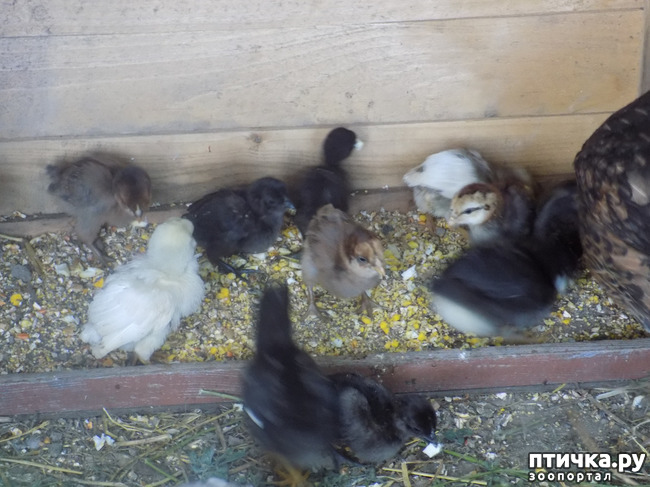 ���� 14: ����� ������������