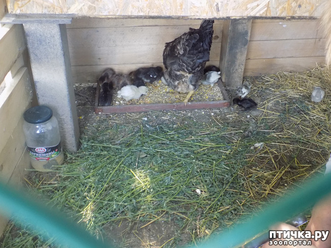 ���� 16: ����� ������������