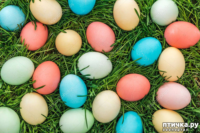 ���� 5: ����� ������������