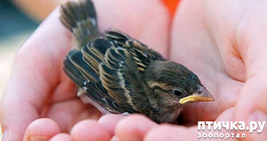 ����: ������ ����� ������� �� �������� ������...