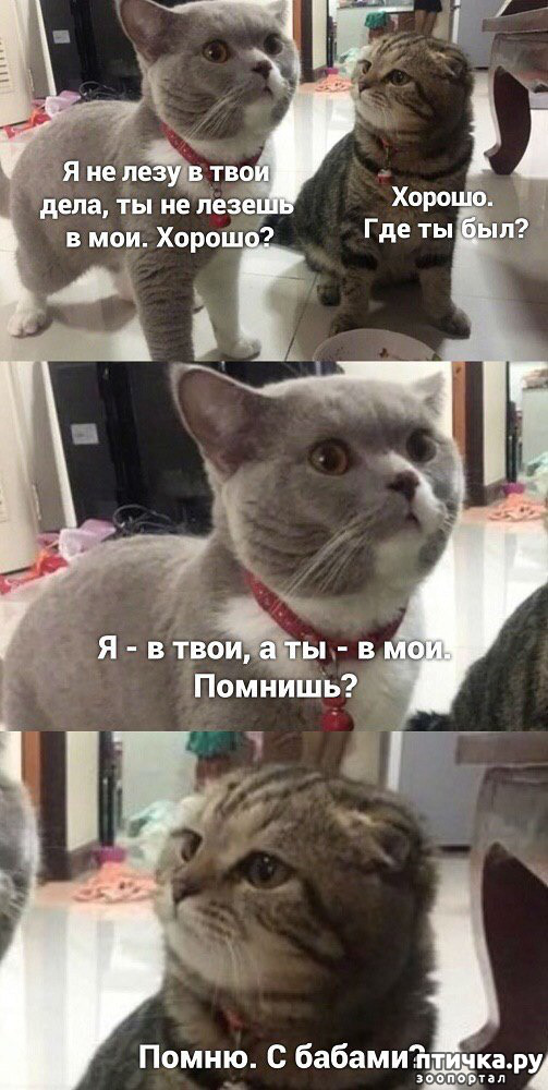 ���� 1: ������� �����