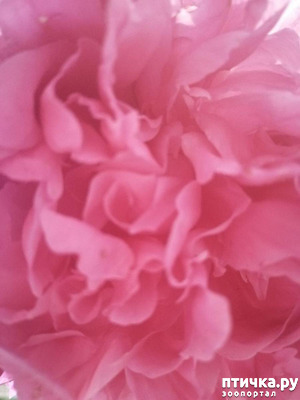 ����: �����. ��� �������� ����������-2