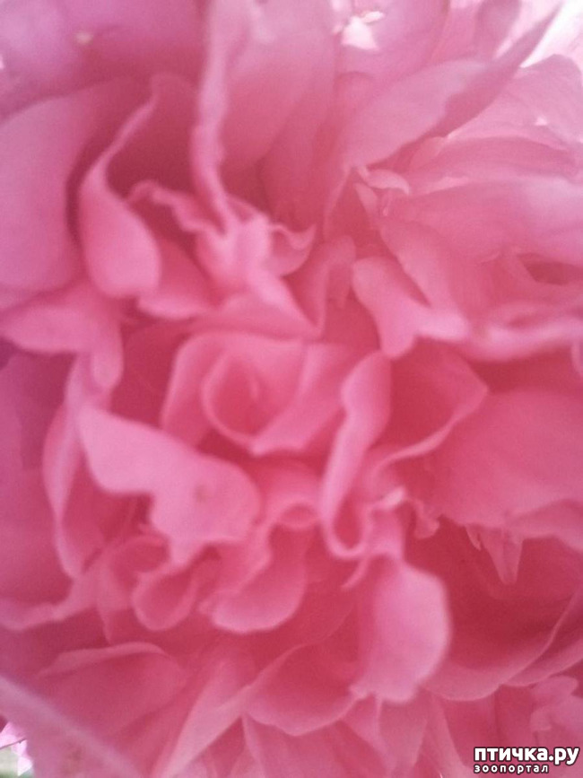 ���� 1: �����. ��� �������� ����������-2