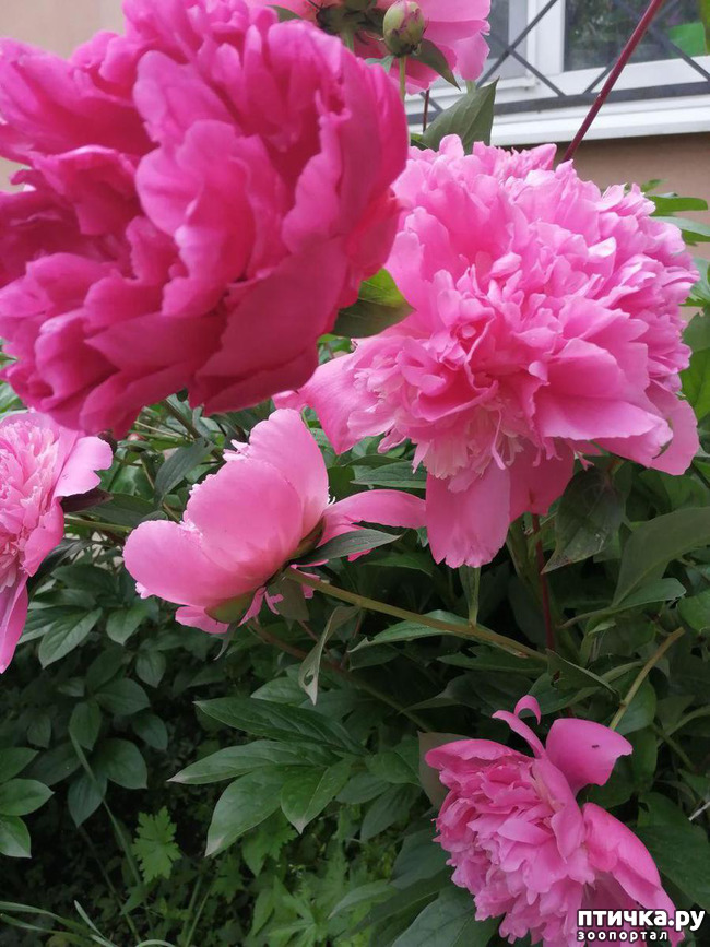 ���� 3: �����. ��� �������� ����������-2