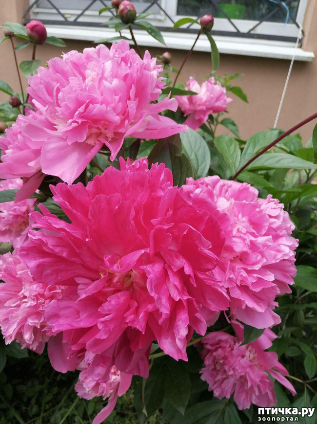 ���� 6: �����. ��� �������� ����������-2