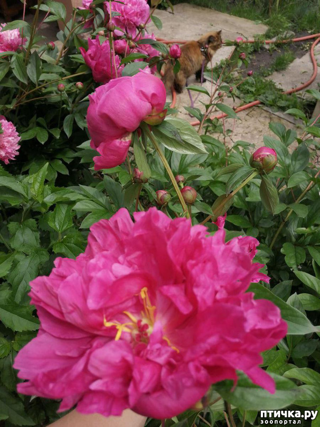 ���� 7: �����. ��� �������� ����������-2