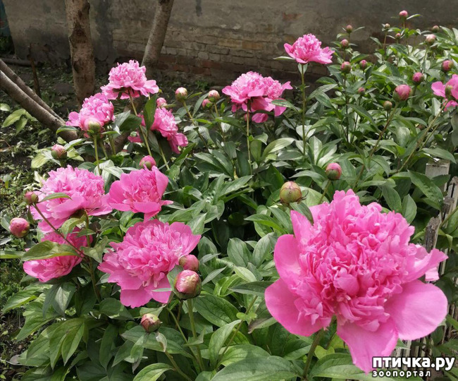 ���� 8: �����. ��� �������� ����������-2