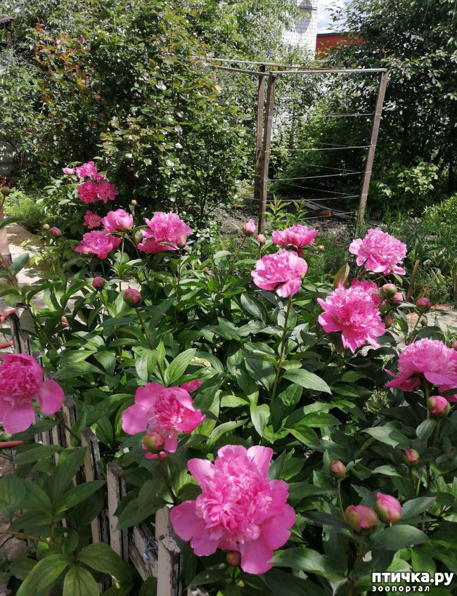 ���� 9: �����. ��� �������� ����������-2