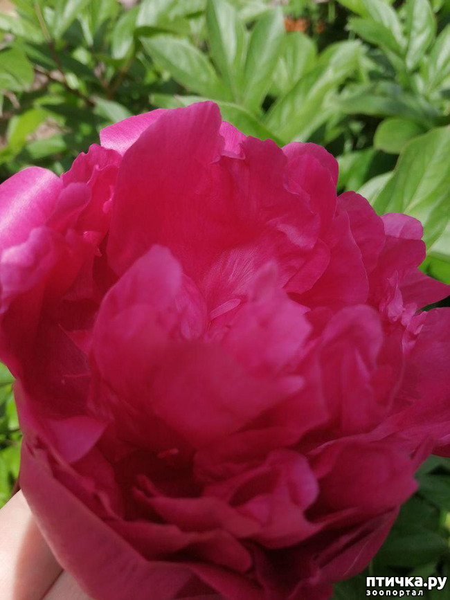 ���� 10: �����. ��� �������� ����������-2