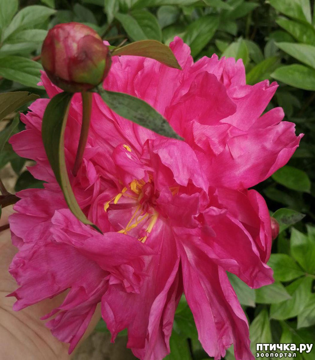 ���� 11: �����. ��� �������� ����������-2