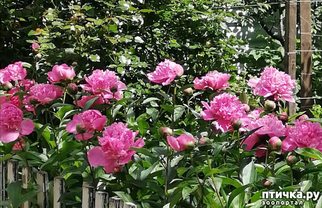 ���� 12: �����. ��� �������� ����������-2