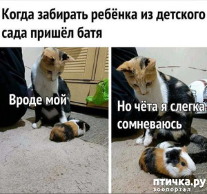 ����: ������� �����