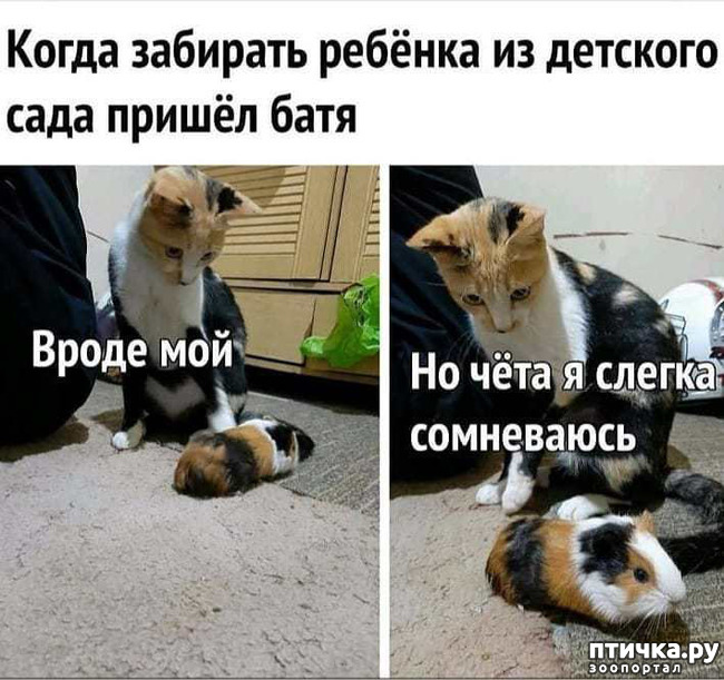 ���� 1: ������� �����