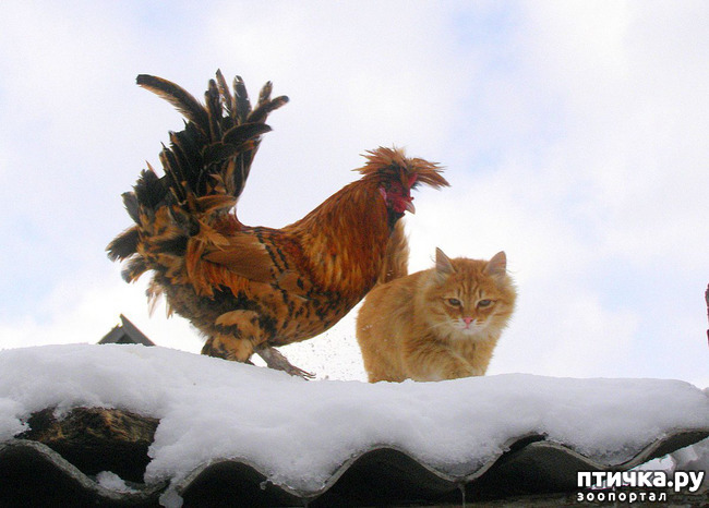 ���� 1: ���� � ������ ���� � ������