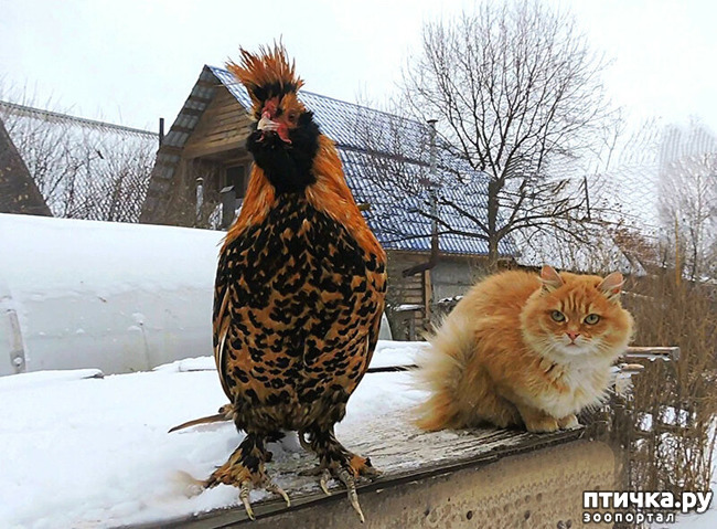 ���� 2: ���� � ������ ���� � ������