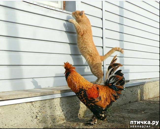 ���� 3: ���� � ������ ���� � ������