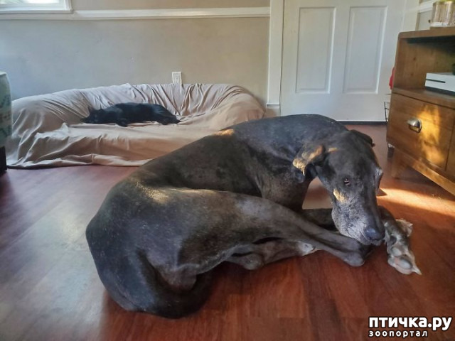 ���� 12: ������ ��������, ������� ��������� ����� �����