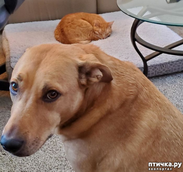 ���� 13: ������ ��������, ������� ��������� ����� �����