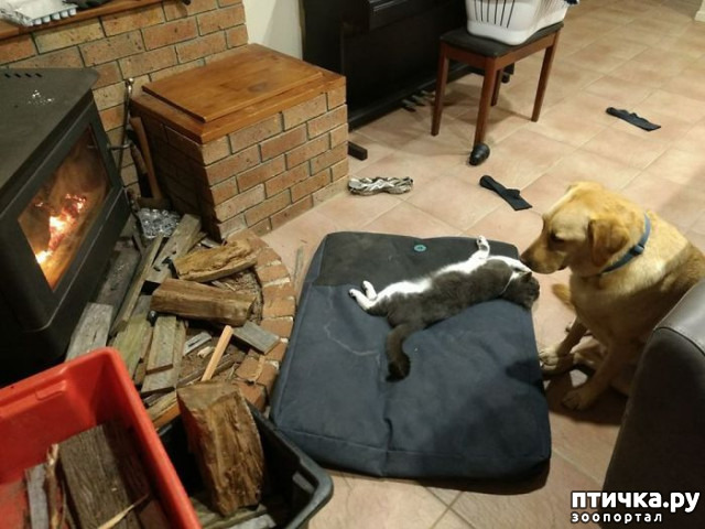 ���� 14: ������ ��������, ������� ��������� ����� �����