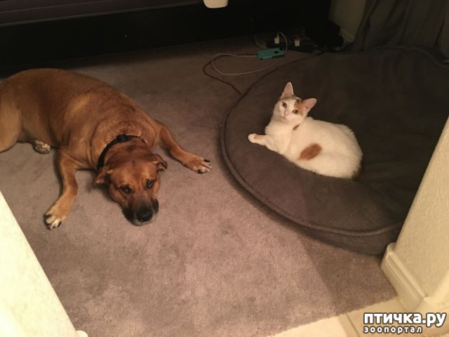 ���� 15: ������ ��������, ������� ��������� ����� �����