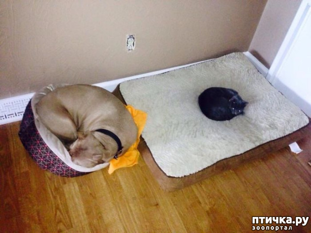 ���� 17: ������ ��������, ������� ��������� ����� �����