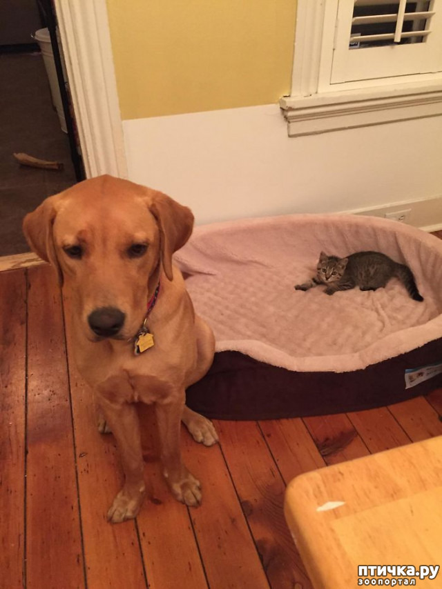 ���� 19: ������ ��������, ������� ��������� ����� �����