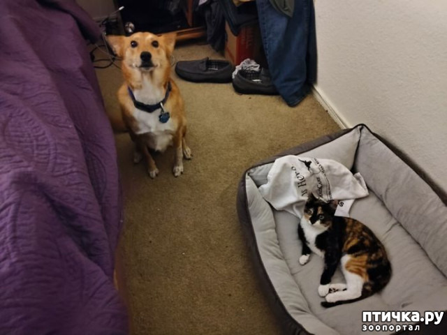 ���� 20: ������ ��������, ������� ��������� ����� �����