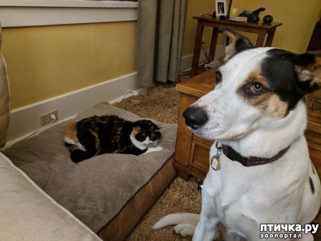 ���� 21: ������ ��������, ������� ��������� ����� �����