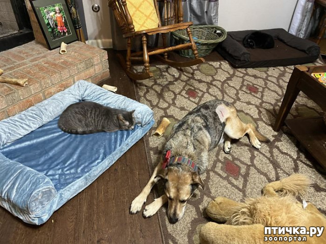 ���� 22: ������ ��������, ������� ��������� ����� �����