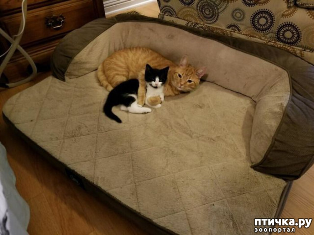 ���� 23: ������ ��������, ������� ��������� ����� �����