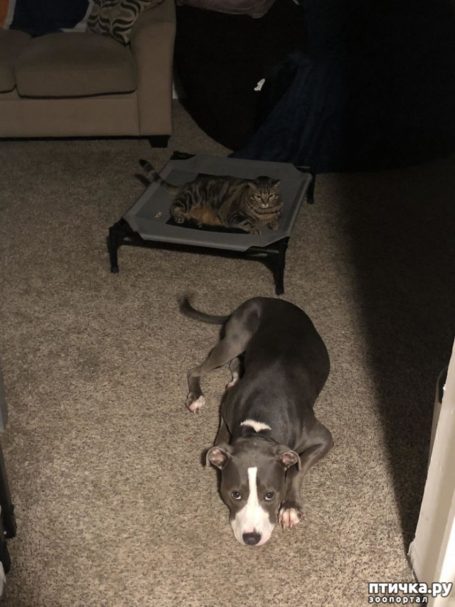 ���� 24: ������ ��������, ������� ��������� ����� �����