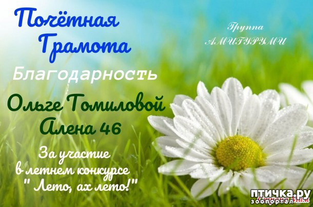 ���� 2: ������: 3 �������� ����� - ����!