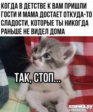 ����: ���, ����